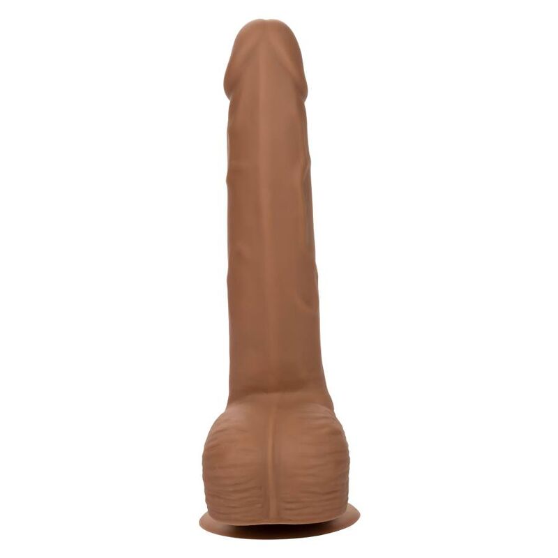 CALEXOTICS - SILICONE STUDS 20.32 CM BROWN CALEXOTICS