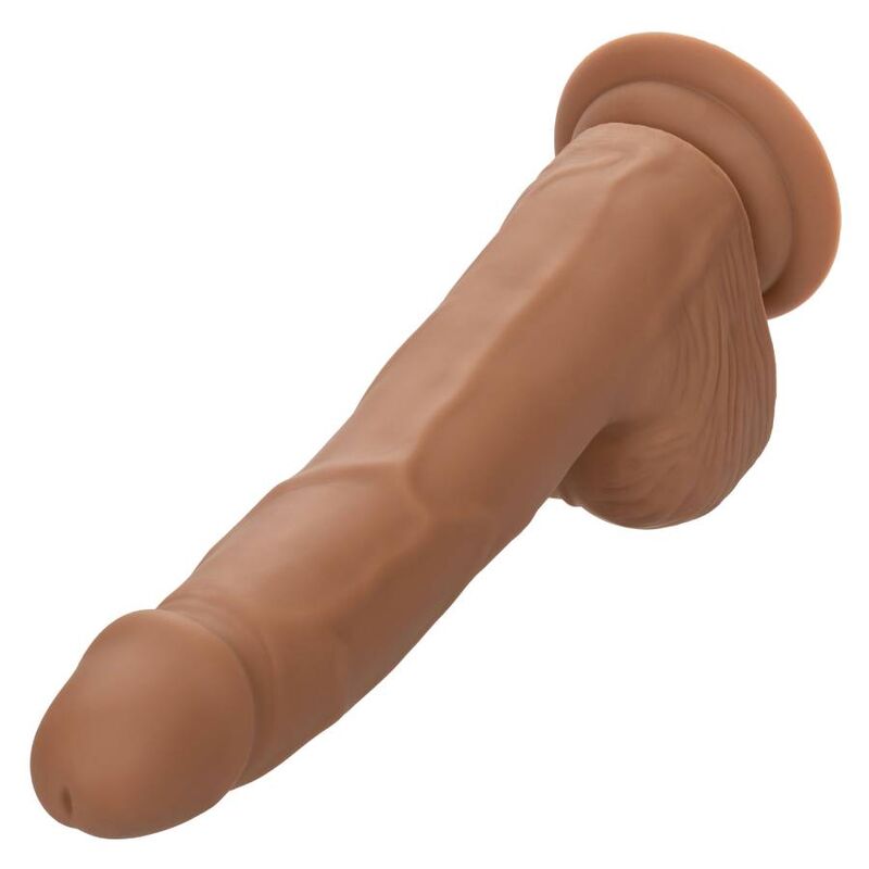 CALEXOTICS - SILICONE STUDS 20.32 CM BROWN CALEXOTICS
