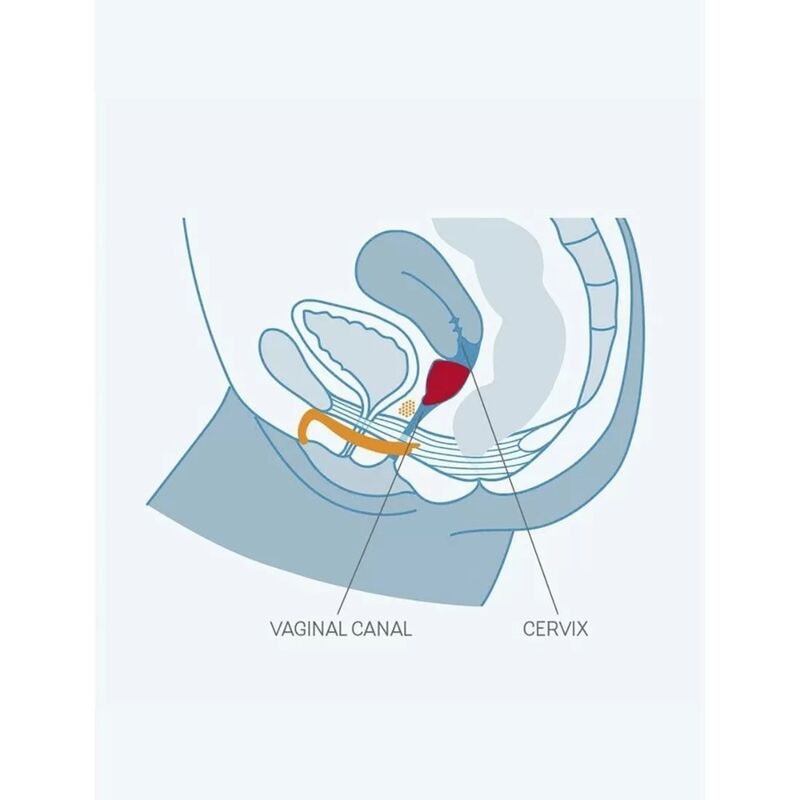 FUN FACTORY - FUN COPA VAGINAL TALLA B UVS FUN FACTORY