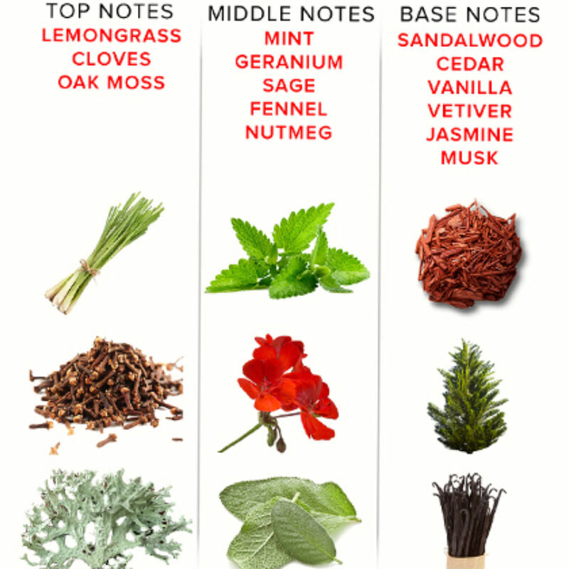 EYE OF LOVE - EOL PERFUME FEROMONAS 10 ML - ROMANTIC EYE OF LOVE