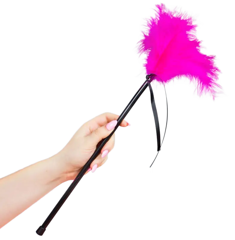 SECRETPLAY - PLUMERO PLUMAS ROSA 40 CM SECRETPLAY 100% FETISH