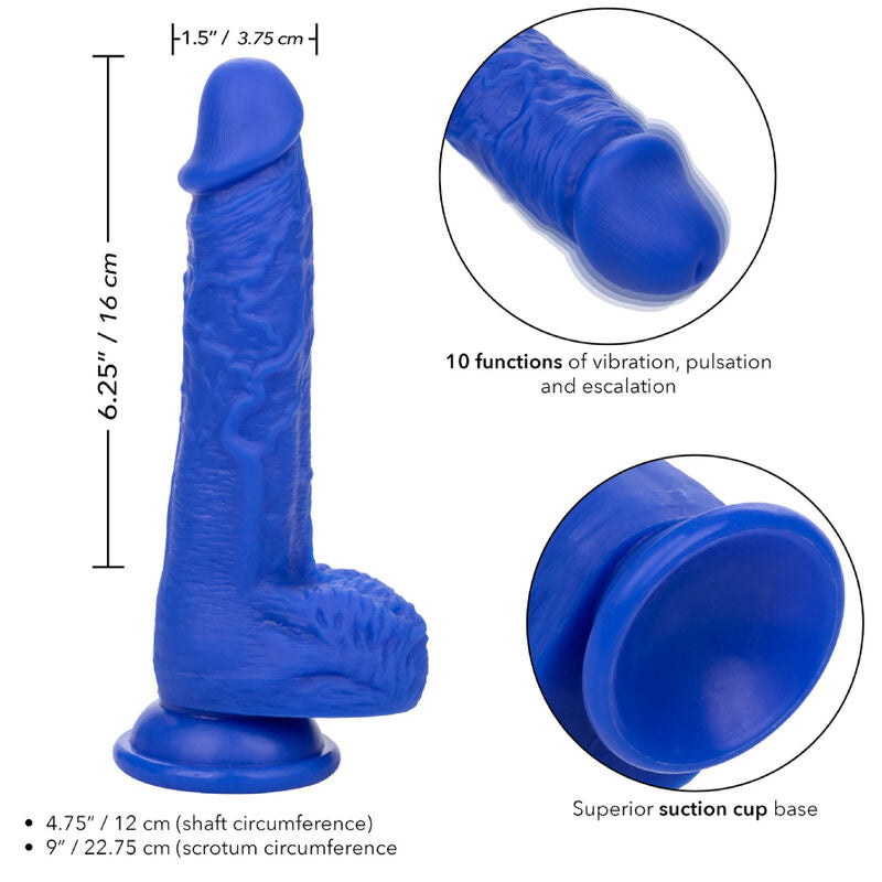 CALEXOTICS - ADMIRAL SAILOR DILDO REALISTICO VIBRADOR AZUL CALEXOTICS