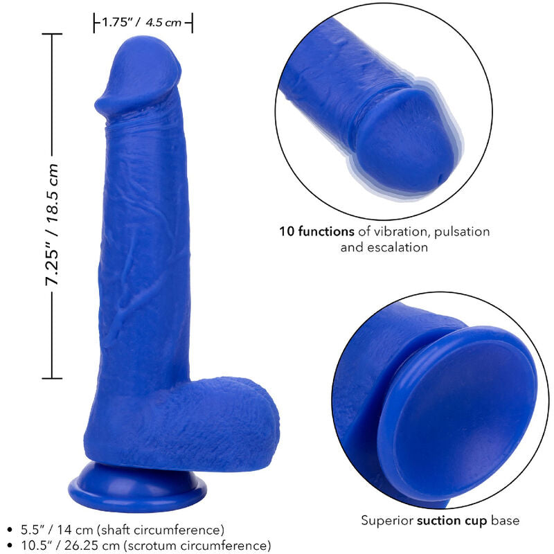 CALEXOTICS - ADMIRAL CAPTAIN DILDO REALISTICO VIBRADOR AZUL CALEXOTICS