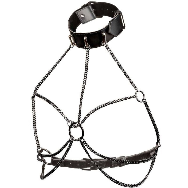 CALEXOTICS - EUPHORIA ARNÉS DE CUELLO DE CADENA TALLA GRANDE CALEXOTICS
