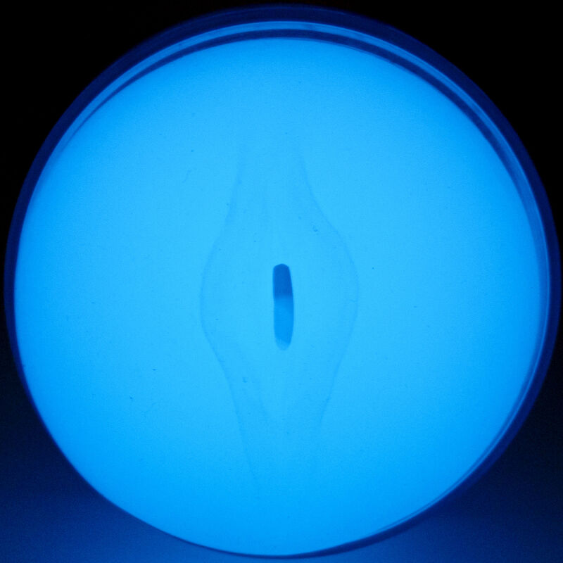 KIIROO - FEEL GLOW IN THE DARK STROKER KIIROO
