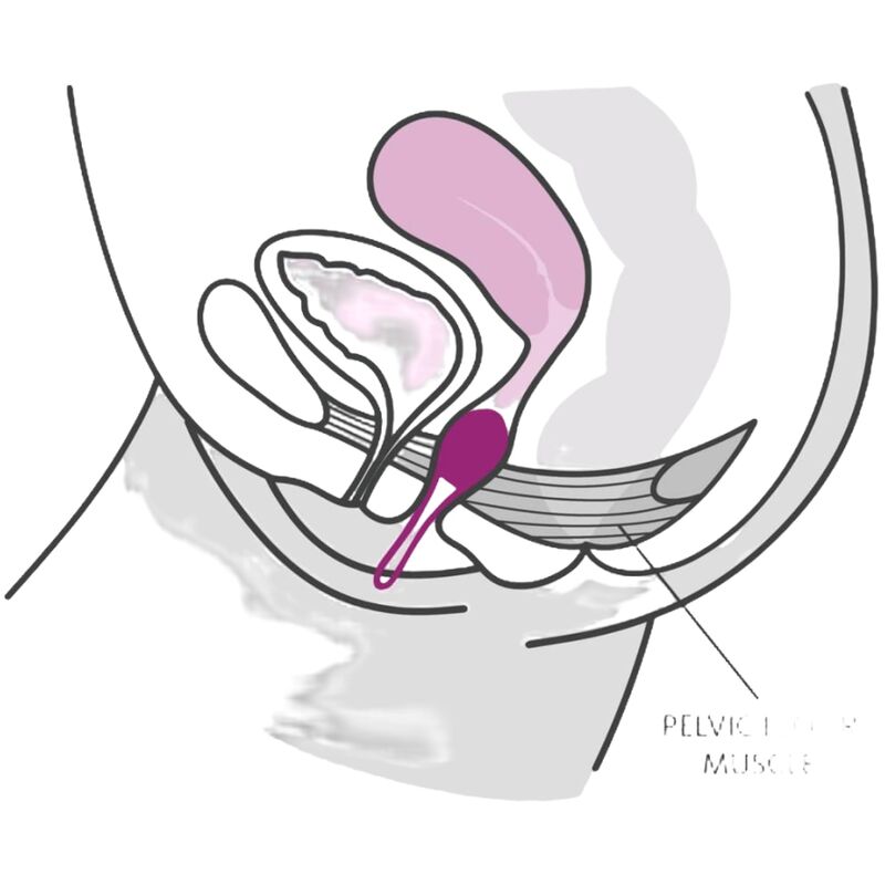 FUN FACTORY - SMARTBALL UNO BOLA PÉLVICA BLANCO / LILA PASTEL FUN FACTORY