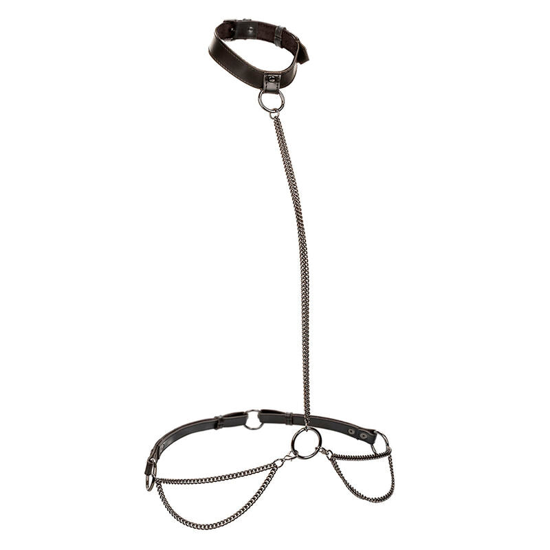 CALEXOTICS - EUPHORIA COLLAR HALTER Y CORREA CON CADENA CALEXOTICS