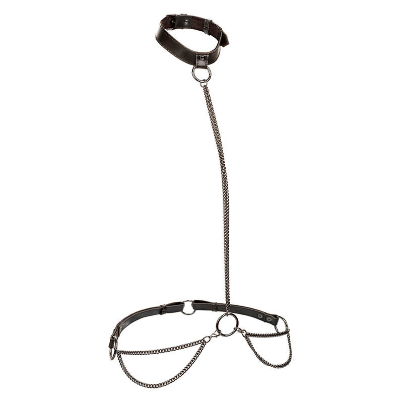 CALEXOTICS - EUPHORIA COLLAR HALTER Y CORREA CON CADENA TALLA PLUS CALEXOTICS