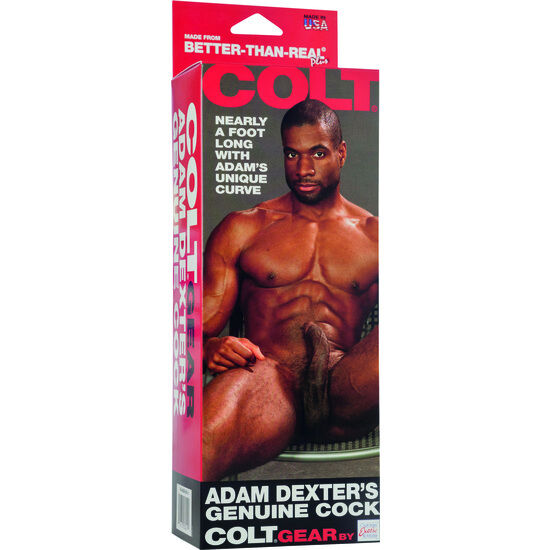 CALEXOTICS - COLT PENE REALISTICO ADAM DEXTER CALEXOTICS