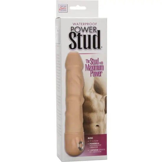 CALEXOTICS - POWER STUD ROD VIBRADOR NATURAL CALEXOTICS
