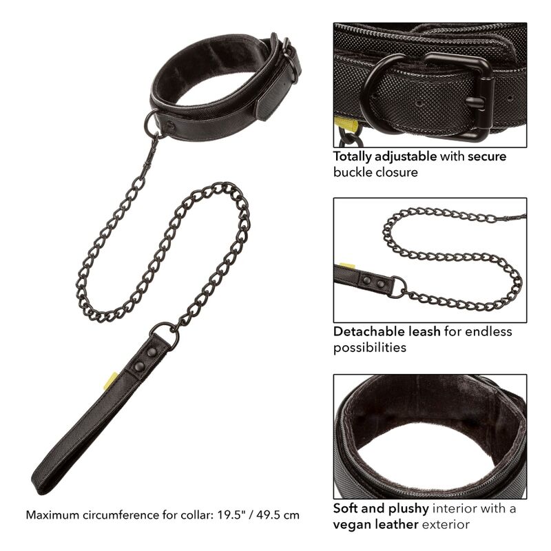 CALEXOTICS - BOUNDLESS COLLAR CON CORREA CALEXOTICS