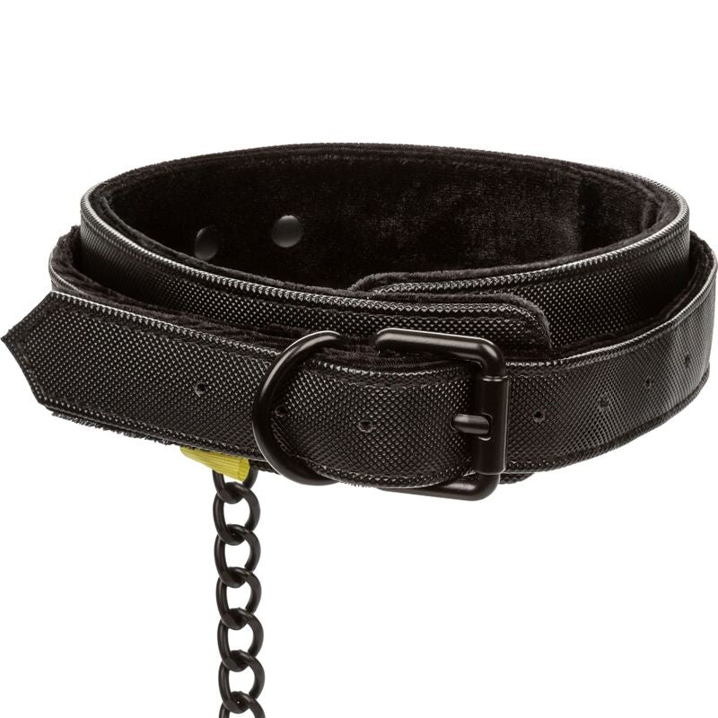 CALEXOTICS - BOUNDLESS COLLAR CON CORREA CALEXOTICS