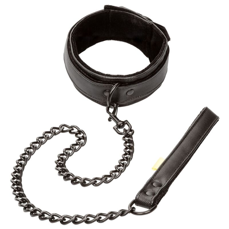 CALEXOTICS - BOUNDLESS COLLAR CON CORREA CALEXOTICS