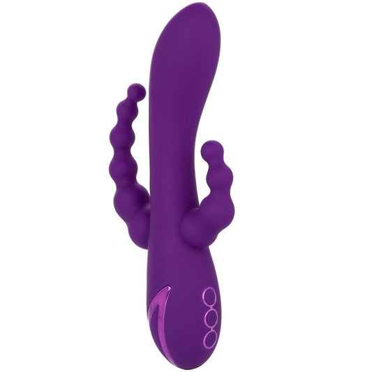 CALEXOTICS - LONG BEACH BOOTYLICIOUS PURPLE CALEXOTICS