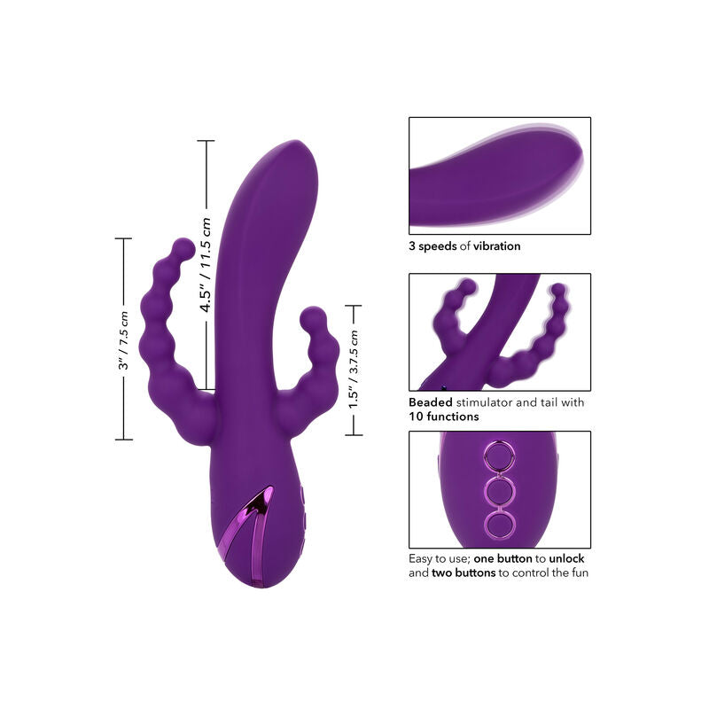 CALEXOTICS - LONG BEACH BOOTYLICIOUS PURPLE CALEXOTICS