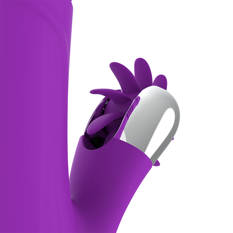FUN FUNCTION - BUNNY FUNNY UP & DOWN  2.0 FUN FUNCTION