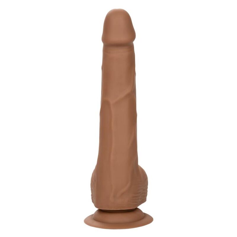 CALEXOTICS - SILICONE STUDS 20.32 CM BROWN CALEXOTICS