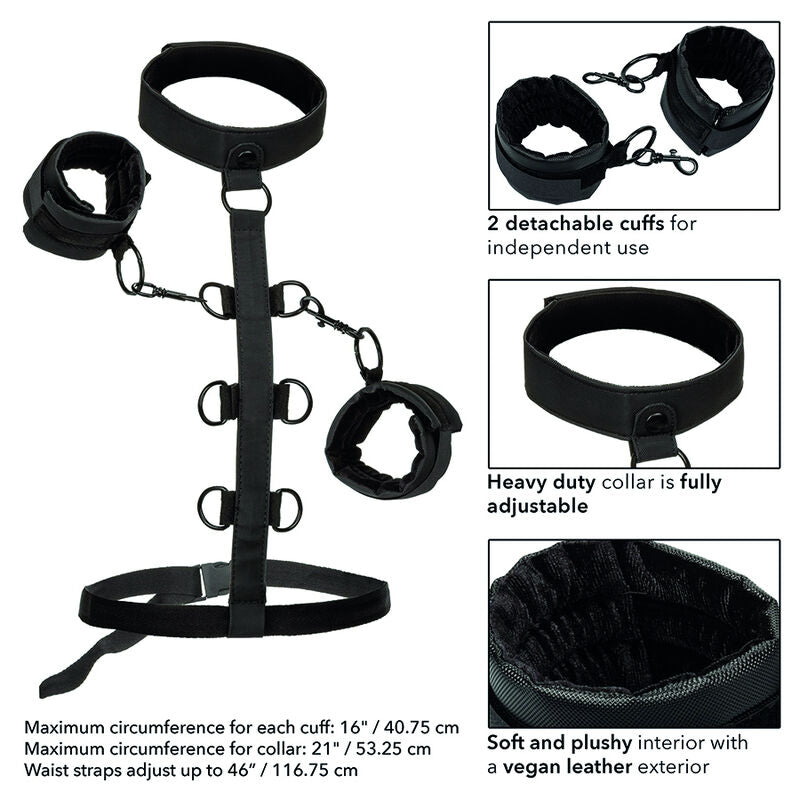CALEXOTICS - BOUNDLESS SUJECCIÓN DEL CUERPO Y EL CUELLO CALEXOTICS