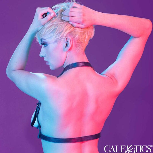 CALEXOTICS - EUPHORIA ARNÉS HATLER CON HEBILLA NEGRO CALEXOTICS