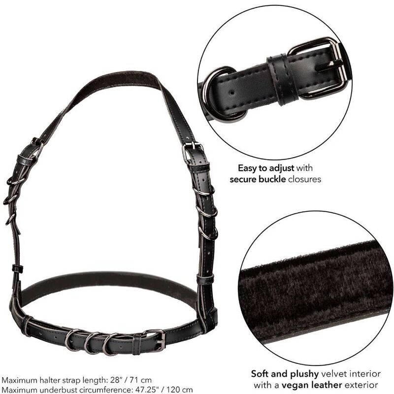 CALEXOTICS - EUPHORIA ARNÉS HATLER CON HEBILLA TALLA GRANDE NEGRO CALEXOTICS