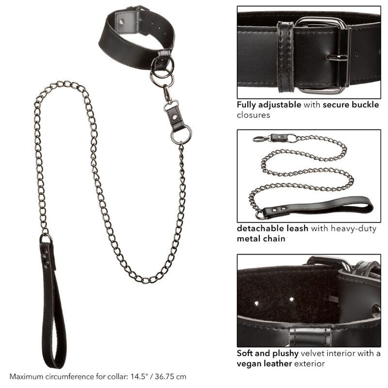 CALEXOTICS - EUPHORIA COLLAR CON CORREA DE CADENA CALEXOTICS