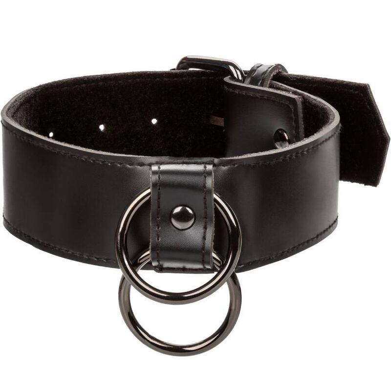 CALEXOTICS - EUPHORIA COLLAR CON CORREA DE CADENA CALEXOTICS