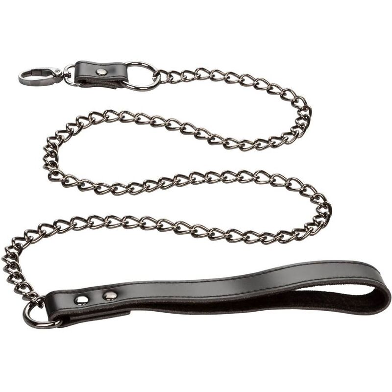 CALEXOTICS - EUPHORIA COLLAR CON CORREA DE CADENA CALEXOTICS
