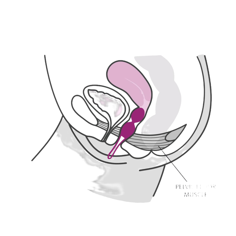 FUN FACTORY - SMARTBALLS DUO BOLAS PELVICAS BLANCO / LILA PASTEL FUN FACTORY