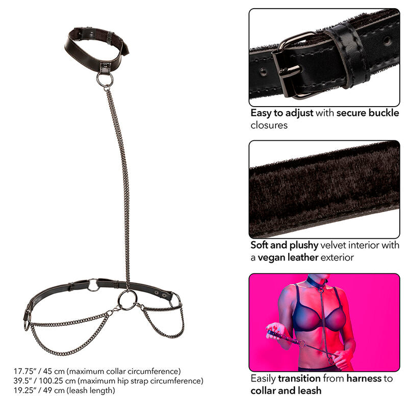 CALEXOTICS - EUPHORIA COLLAR HALTER Y CORREA CON CADENA CALEXOTICS