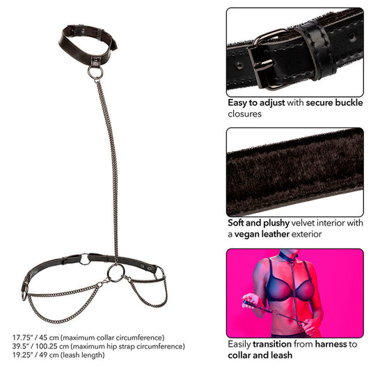 CALEXOTICS - EUPHORIA COLLAR HALTER Y CORREA CON CADENA CALEXOTICS