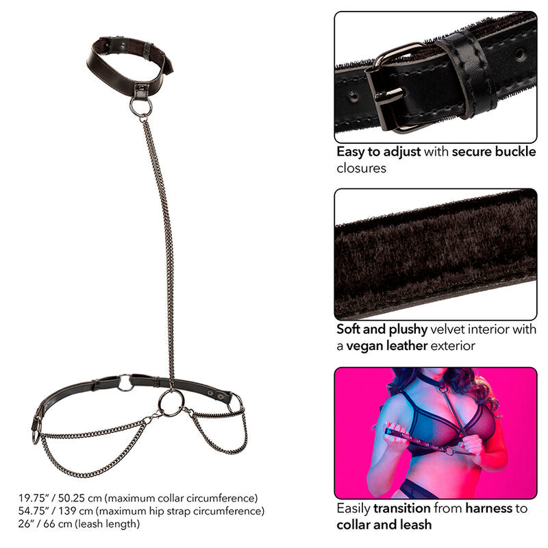 CALEXOTICS - EUPHORIA COLLAR HALTER Y CORREA CON CADENA TALLA PLUS CALEXOTICS