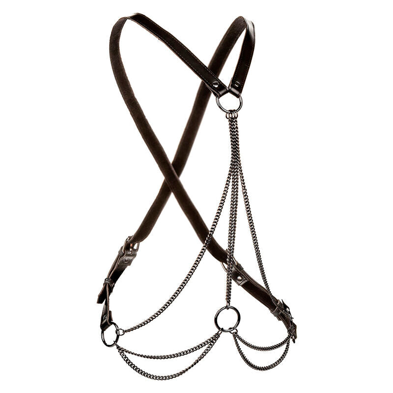 CALEXOTICS - EUPHORIA ARNÉS DE MÚLTIPLES CADENAS PREMIUM TALLA PLUS CALEXOTICS
