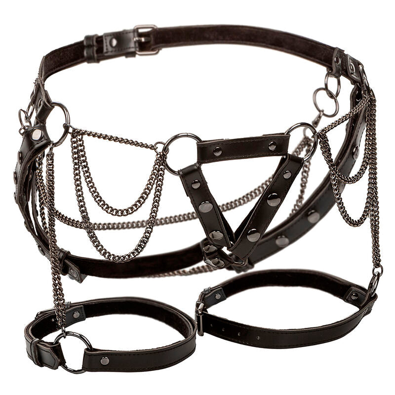 CALEXOTICS - EUPHORIA ARNÉS DE MUSLO CON CADENAS PREMIUM CALEXOTICS