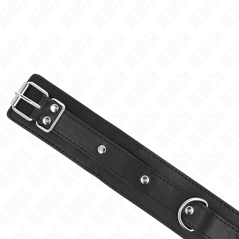 KINK - COLLAR CON CORREA 65 CM 1 ANILLO AJUSTABLE 38-49 CM X 5 CM KINK COLLAR & GAG