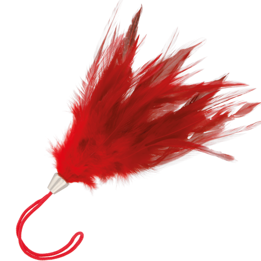 DARKNESS - PLUMA ESTIMULADORA ROJO 17CM DARKNESS SENSATIONS
