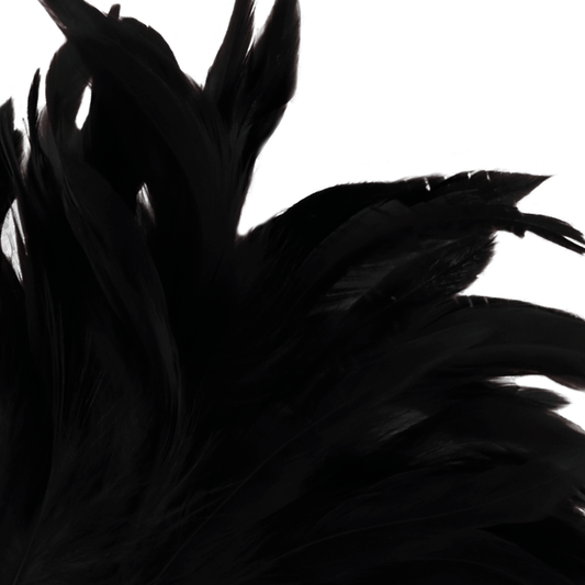 DARKNESS - PLUMA ESTIMULADORA NEGRO LUX DARKNESS SENSATIONS