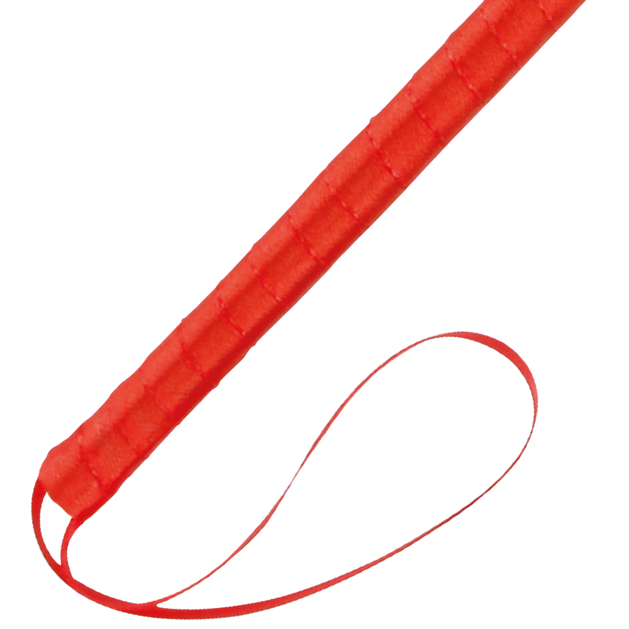 DARKNESS - PLUMA ESTIMULADORA ROJO 24CM DARKNESS SENSATIONS