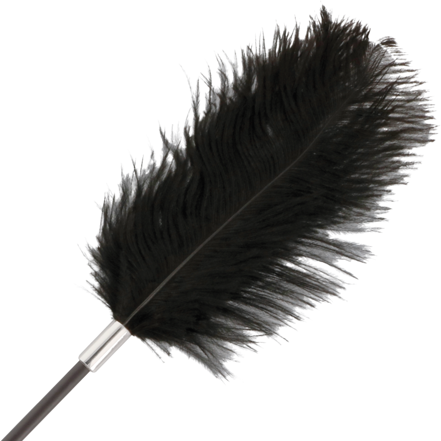 DARKNESS - FUSTA CON PLUMA LOVE NEGRO 56 CM DARKNESS SENSATIONS