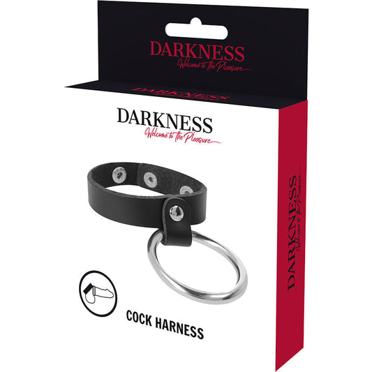 DARKNESS - ANILLO DE METAL PARA EL PENE Y TESTÍCULOS DARKNESS BONDAGE