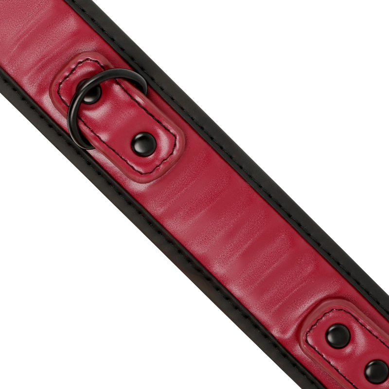 FETISH SUBMISSIVE DARK ROOM - COLLAR CON CADENA CON FORRO DE NEOPRENO FETISH SUBMISSIVE DARK ROOM